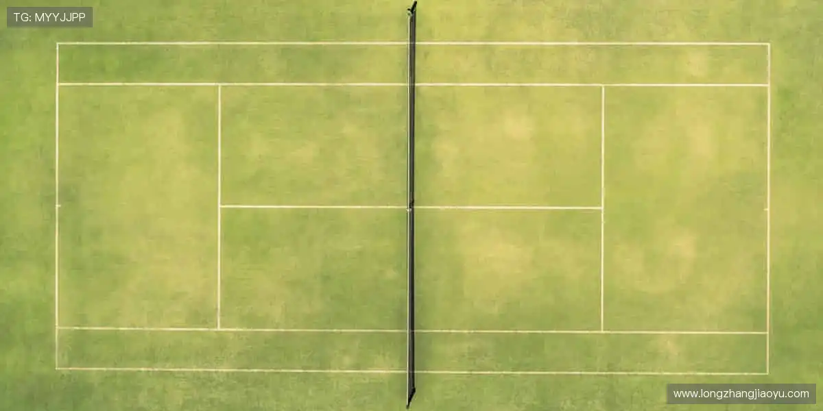 ⚽【赛事官网】汗水浇筑梦想,这里见证冠军诞生!